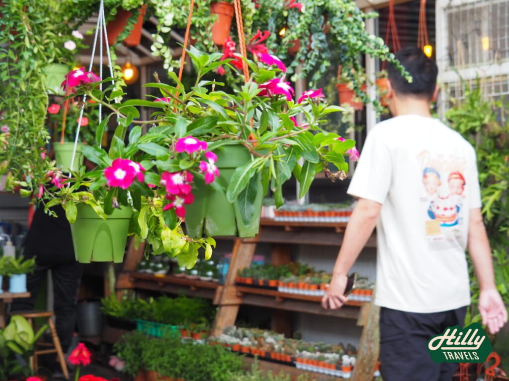 A Plant Shop At Kea Farm Market