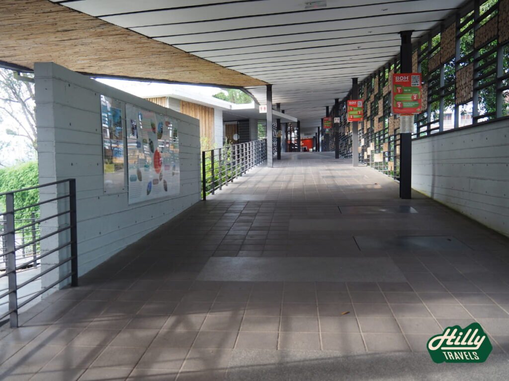 BOH Sungai Palas Tea Centre