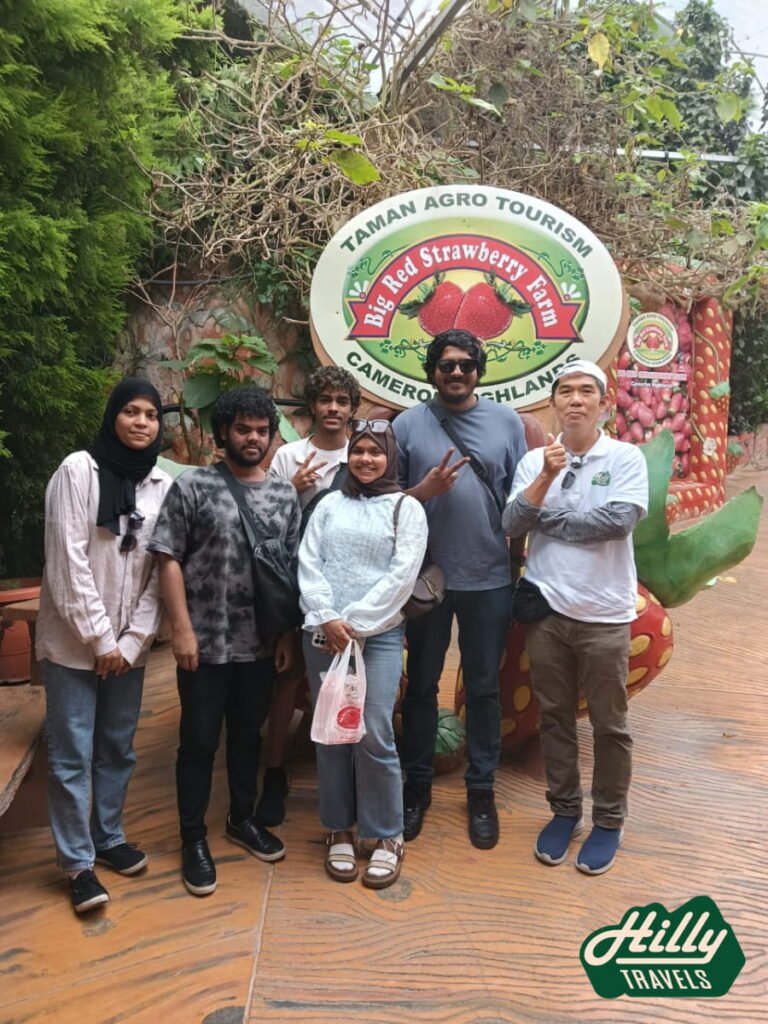 Big Red Strawberry Farm, Cameron Highlands