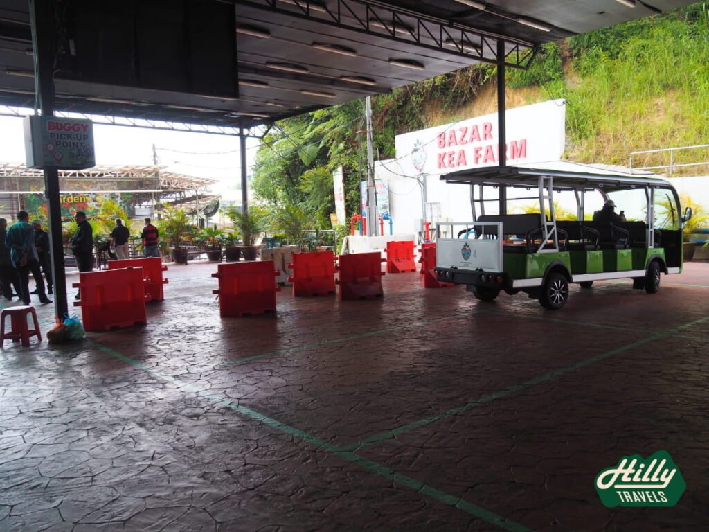 Buggy Stop At Kea Farm Market
