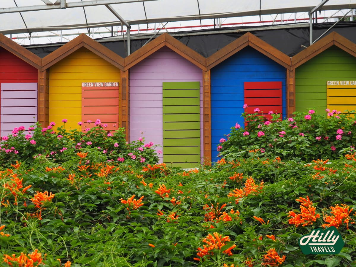 Colorful Beach Shack Replicas At Green View Garden