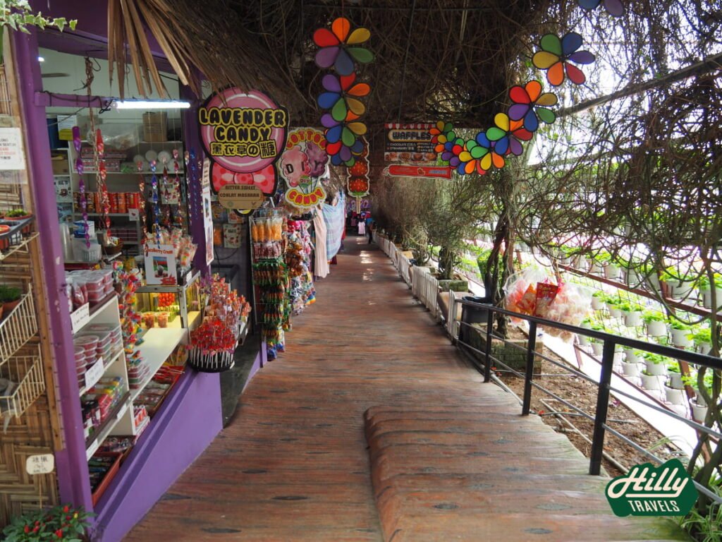 Colorful Stalls At The Exit Of Lavender Garden