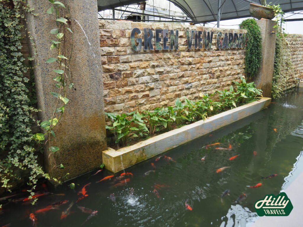 Koi Pond At Green View Garden