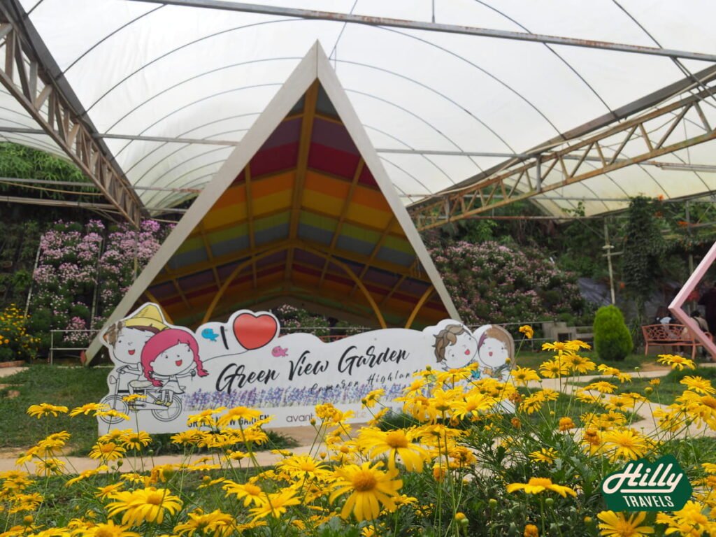 Photo Spot With Yellow Flowers At Green View Garden