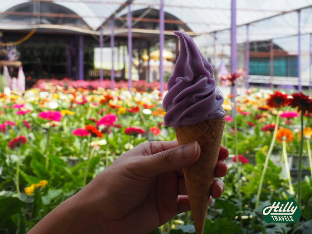 Signature Lavender Ice Cream At Lavender Garden