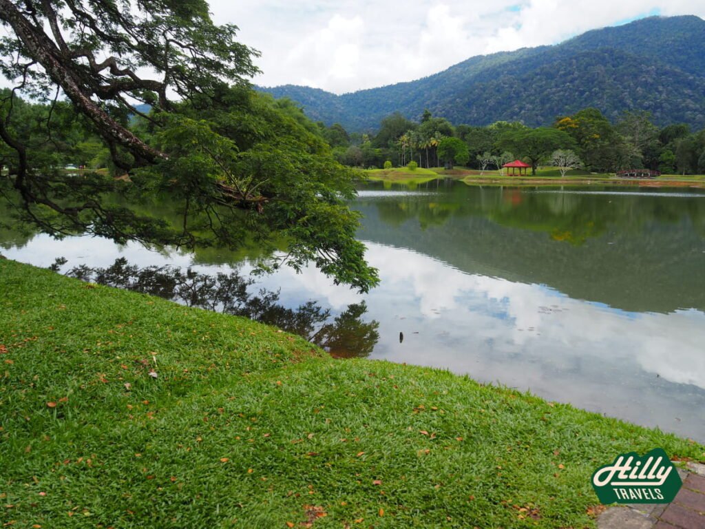 Taiping Lake Gardens