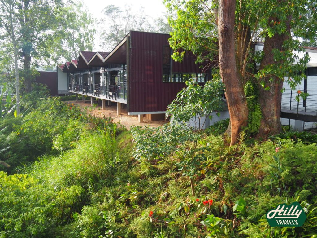Tristan Terrace Seen From J.A.s Balcony, BOH Sungai Palas Tea Centre