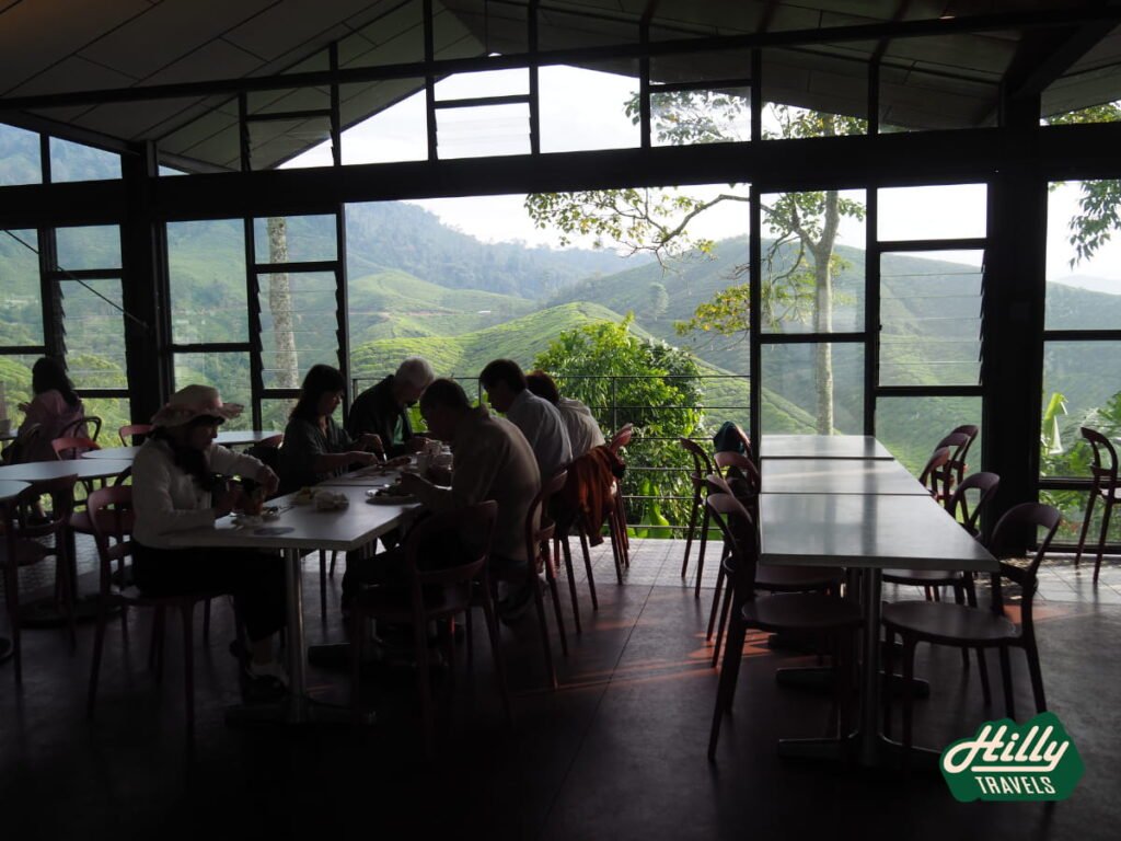Views From Tristan Terrace, BOH Sungai Palas Tea Centre