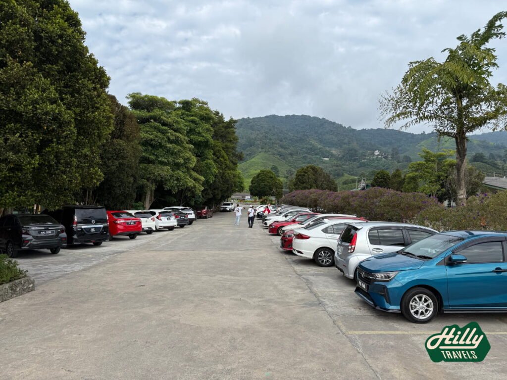 Visitor Car Park At BOH Sungai Palas Tea Centre